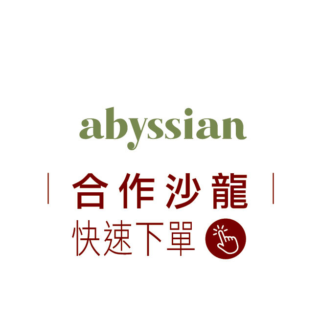 首頁BN 沙龍快速下單 abyssian